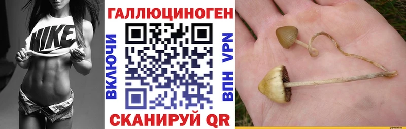 наркотики  Ермолино  Галлюциногенные грибы Cubensis 